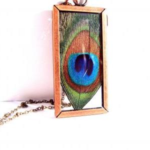 Pressed Peacock Feather Necklace