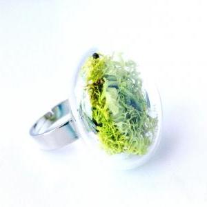 Real Moss Glass Ring