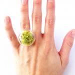 Real Dried Moss Glass Ring
