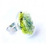 Real Dried Moss Glass Ring