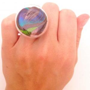 Real Peacock Feather Glass Ring